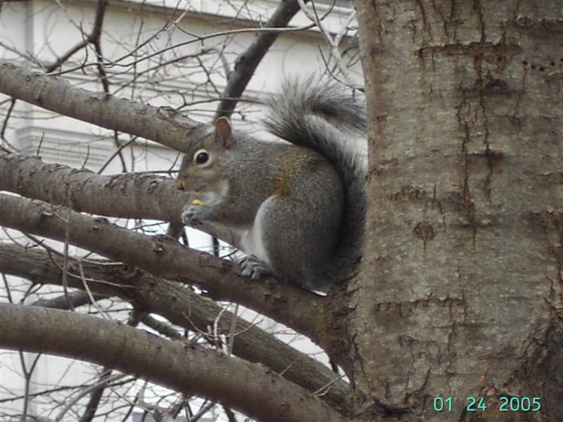 PICT0119 (Medium).JPG